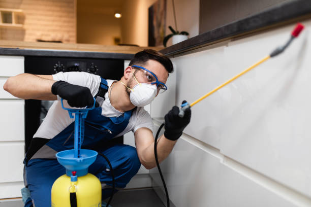 Trusted Panama City Beach, FL Pest Control Experts